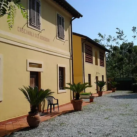 Dei Tigli * Torre del Lago Puccini
